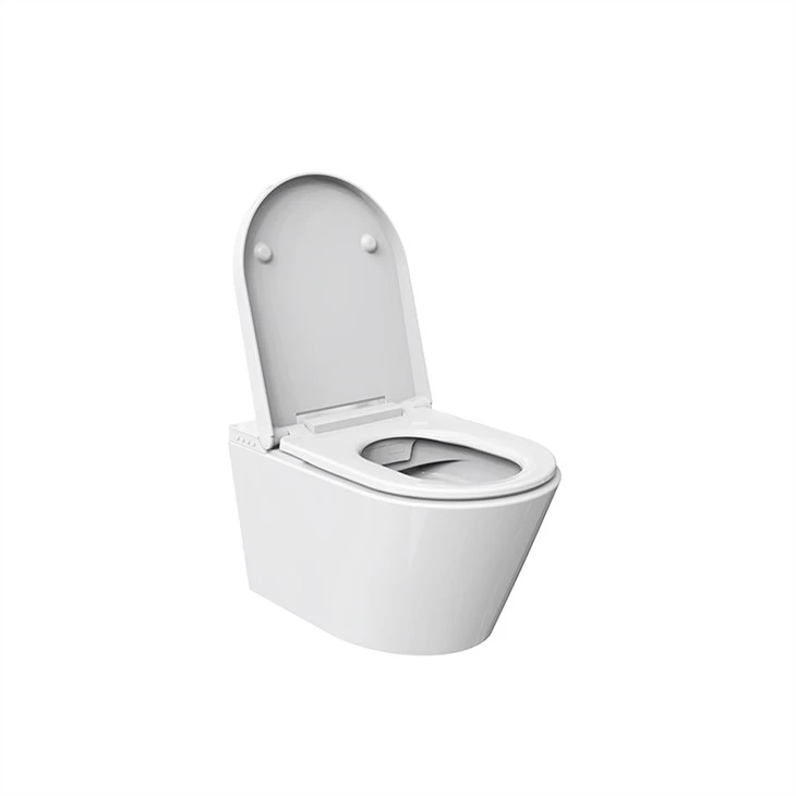 intelligent wc
