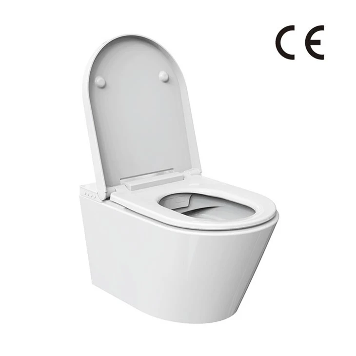 مرحاض وبيديت في واحد